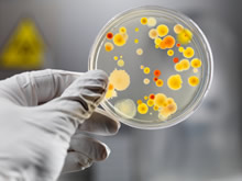 Microbial Assessment & Mitigation Design