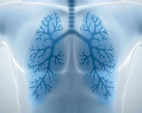 Clean and healthy lungs